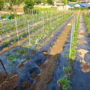 국립농산물품질관리원지원익산사무소 이미지