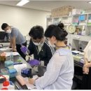 (주)브이에스 신비 네이버블로그