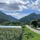 대후보건진료소 이미지