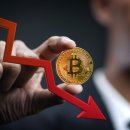 비트공인중개사사무소 이미지