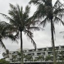 행복나라상점 | 오키나와🇯🇵 더문비치 뮤지엄리조트 내돈내산 방문후기 🏨