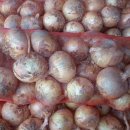 장군농장 이미지