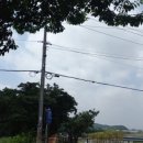 영산정기시장 이미지