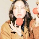 비코즈 이미지