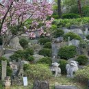 문상훈한의원 | 내가 제일 좋아하는 날씨