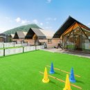 가평댕댕이애견펜션&글램핑골드 이미지