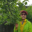 화전횟집 이미지