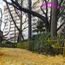 망미1-102 이미지