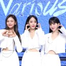 비비플래닛 뉴스1