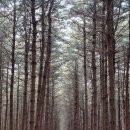 봉메밀 (검단산점) 이미지