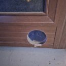 길냥이와 함께하는 이미지