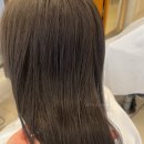 도영1호 이미지