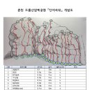 인어루트