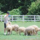 남해목장 이미지