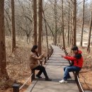 물향기공원 티스토리