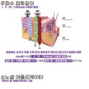 윈썸스킨케어 네이버블로그