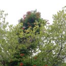 썬스포츠클럽 이미지