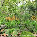 한라수산 이미지