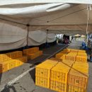 능동농장 이미지