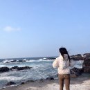 11305-18-10-5 | [공지] 제주 용담 해안도로 5km 러닝 후기 초보 런린이가 직접 신어본 나이키보메로18W 솔직리뷰