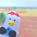 구름바다 | 부산 해운대 소품샵 바다 위 구름상점 지름신 강림 후기