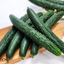 가정용 흑수박 🍉 특가로 드려용 :) 5kg ~ 7kg 내외 가격 : 25,000원 🍒 고당도 체리 산딸기 아침재입고예정 이미지