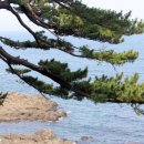 동국미디어 - 고양시 일산동구 정발산로 15 | 동국미디어