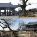 비자나무아래집 이미지