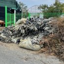 숙이농장 이미지