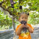 마전농장 이미지