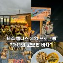 해녀와바다 | 제주관광공사 제주 웰니스 관광 파일럿 프로그램 &#34;해녀와 고요한 바다&#34;