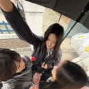 11500-13-41-03 | 2026/03