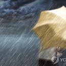 강한비