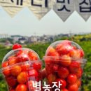 팽성남산4길 이미지