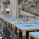 짱구게임장 이미지