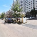 국화한신 이미지