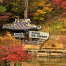 18 - 포토스케이프로 블로그 사진에 서명(싸인, 낙관)을 넣어볼까요 이미지