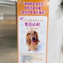 봉봉애견 이미지