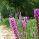 녹색목장 이미지