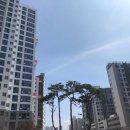 안상규공인중개사사무소 네이버블로그