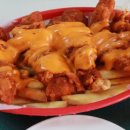 치킨플라이