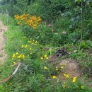 드림농장 이미지