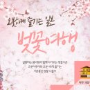 부라보여행사
