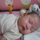 재윤농장 이미지