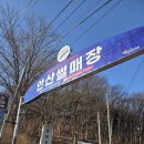 안산썰매장 | 안산썰매장 후기