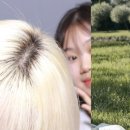 혜정농원 | 계란, 주먹밥 그리고 샌드위치의 혜정