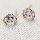 피에스팜 이미지