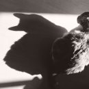 키 쑥쑥 성장 운동 이미지