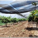 손해평가사 1차 - 상법 보험편 이미지