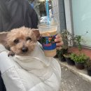 레프트뱅크수성도서관 이미지